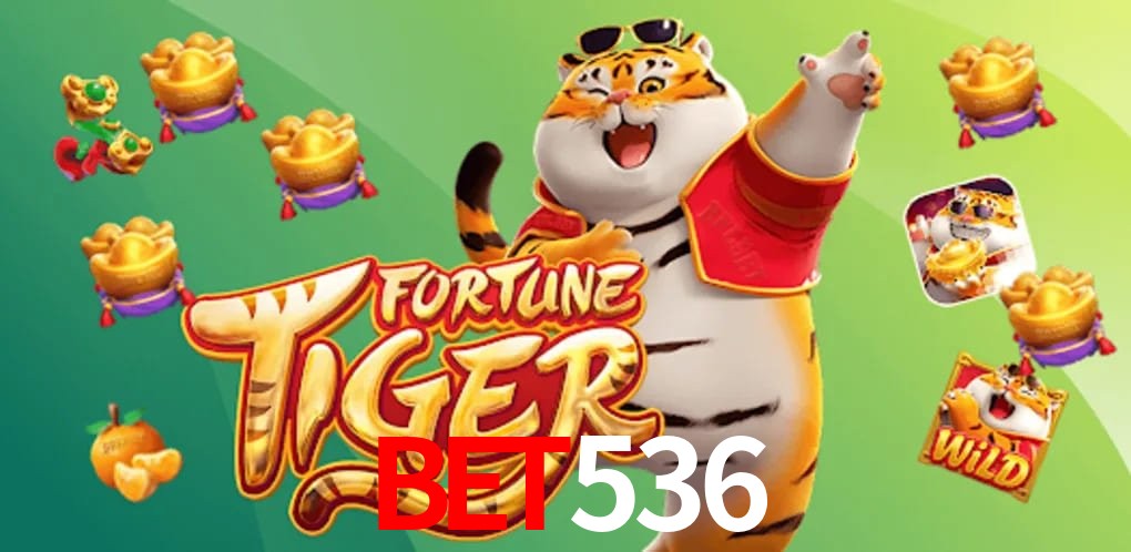 Experiência VIP BET536